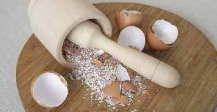 Egg shell as a source of calcium